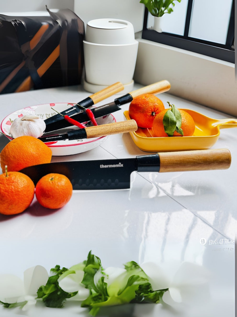 thermomix Japanese knife 4 pieces set