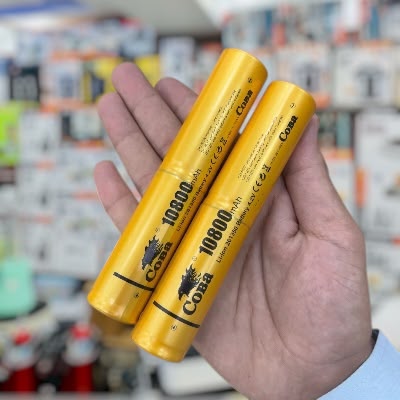 COBA 2-Piece LED Aluminum Alloy Flashlight Torch Set CB-2074-2